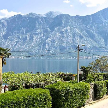 Apartments Asya Kotor Dış mekan fotoğraf