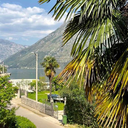 Apartments Asya Kotor Dış mekan fotoğraf