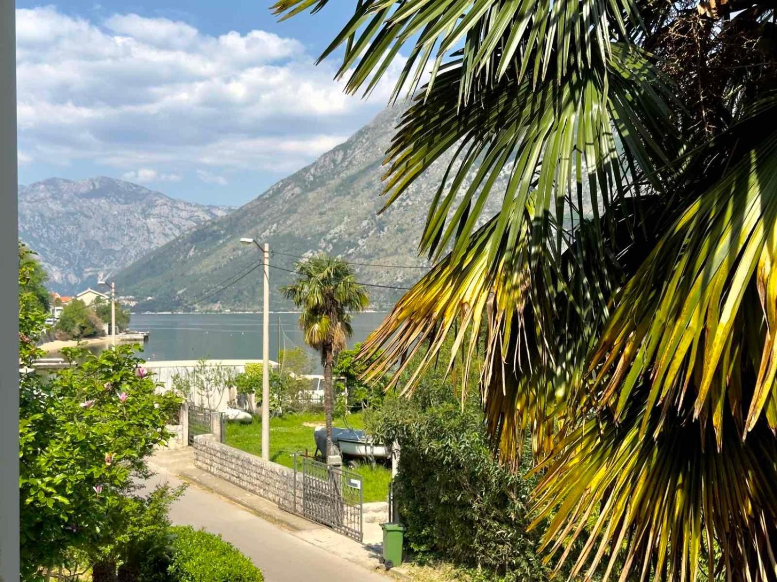 Apartments Asya Kotor Dış mekan fotoğraf